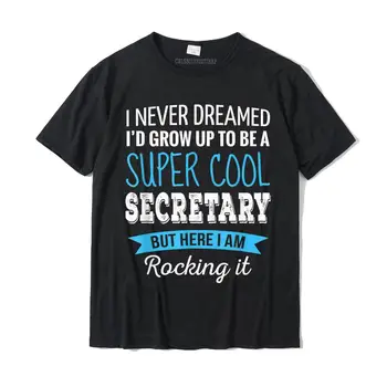 Секретарша, о которой я никогда не мечтал, забавная футболка с благодарностью, уличные футболки, футболки для мужчин, футболки с графическим хлопковым дизайном