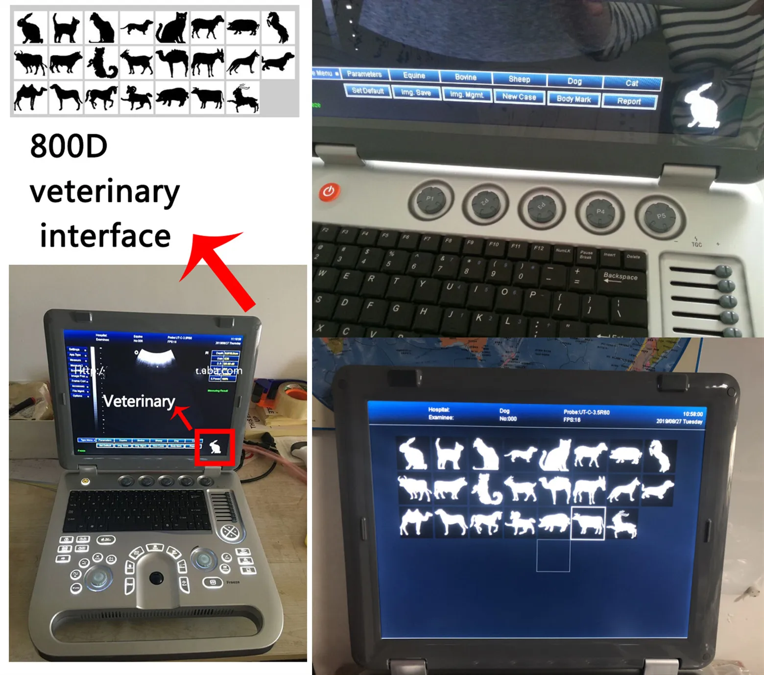 медицинский диагностический инструмент Sun-800D ультразвука сердца ноутбука 3D SunBright высокой эффективности 15 дюймов медицинский диагностический инструмент Sun-800D - 2